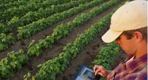 精準農業的5種模式 建議農人們了解一下，助力農業種植提質增效