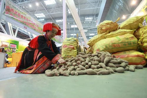 2019柳州農(nóng)博會 萬種珍品薈萃，盡顯現(xiàn)代農(nóng)業(yè)風采