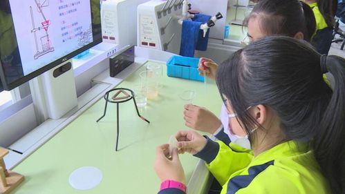 長白山 菜單式課后服務賦能“雙減”落地，教育咨詢精準護航