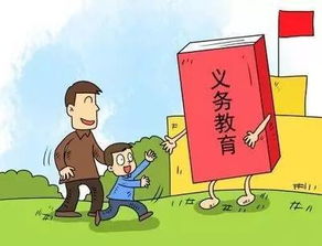 濰坊發(fā)布2017年城區(qū)義務教育招生政策，教育咨詢服務同步啟動