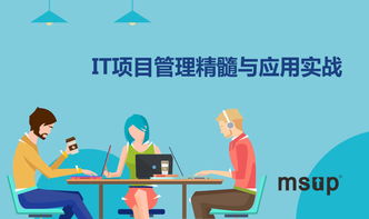msup 軟件研發(fā)管理培訓(xùn)與咨詢(xún)服務(wù) 賦能團(tuán)隊(duì)，驅(qū)動(dòng)卓越